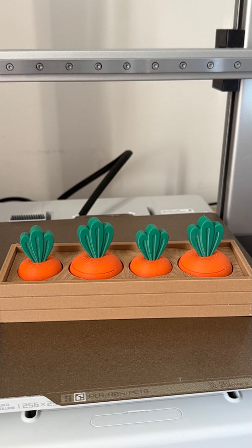 Four orange carrot fidgets with green tops in a brown rectangular holder