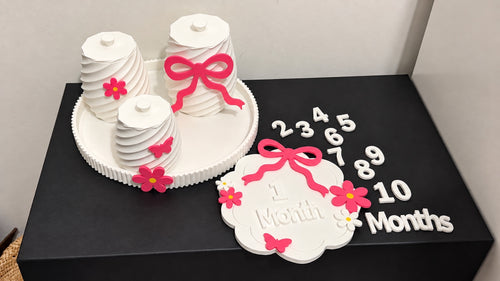 Baby Monthly Milestone Set